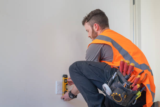 Best Electrical System Inspection  in Amboy, IL