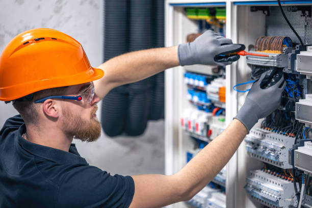 Best Home Electrical Repair  in Amboy, IL